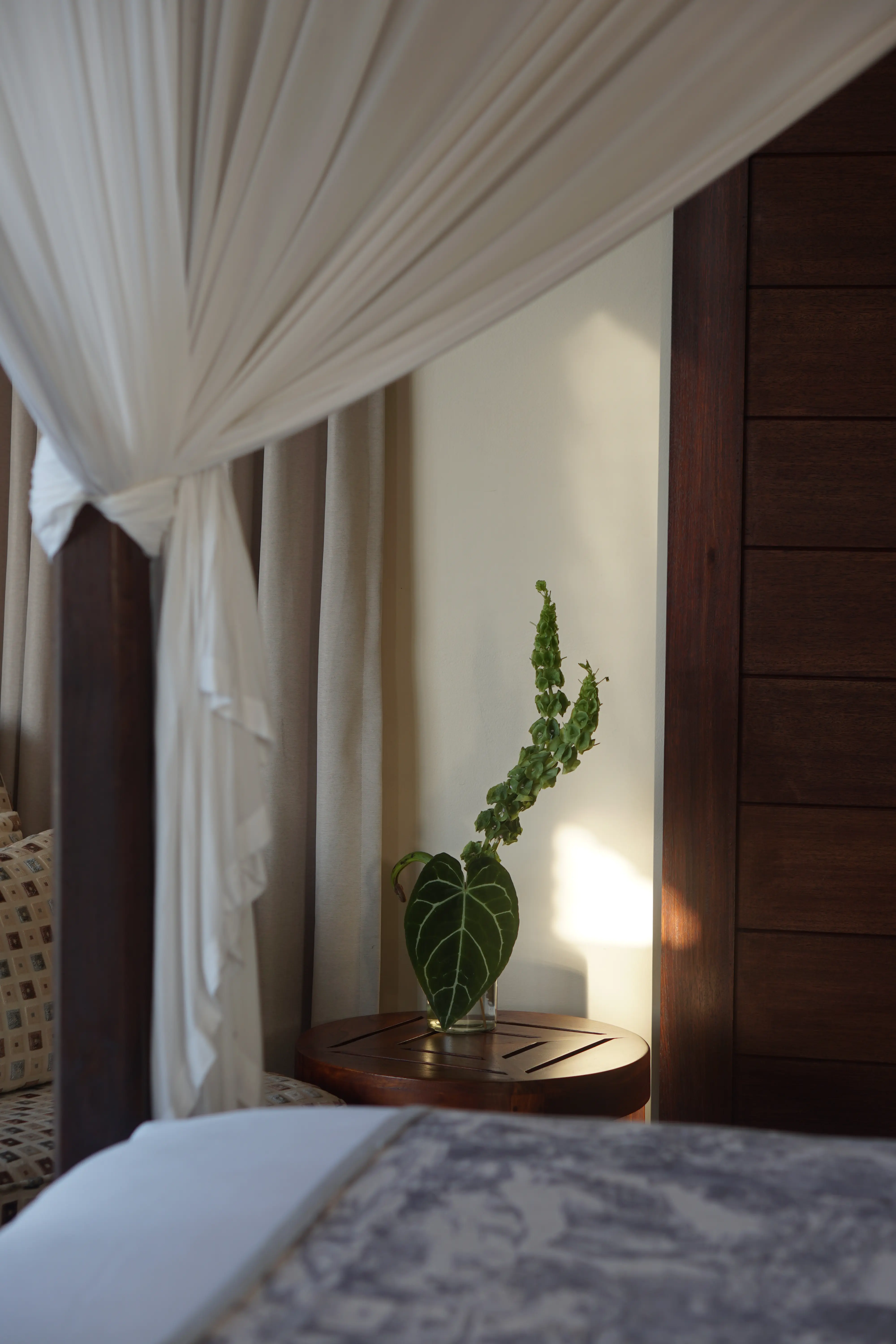 Villa Jamalu 17
