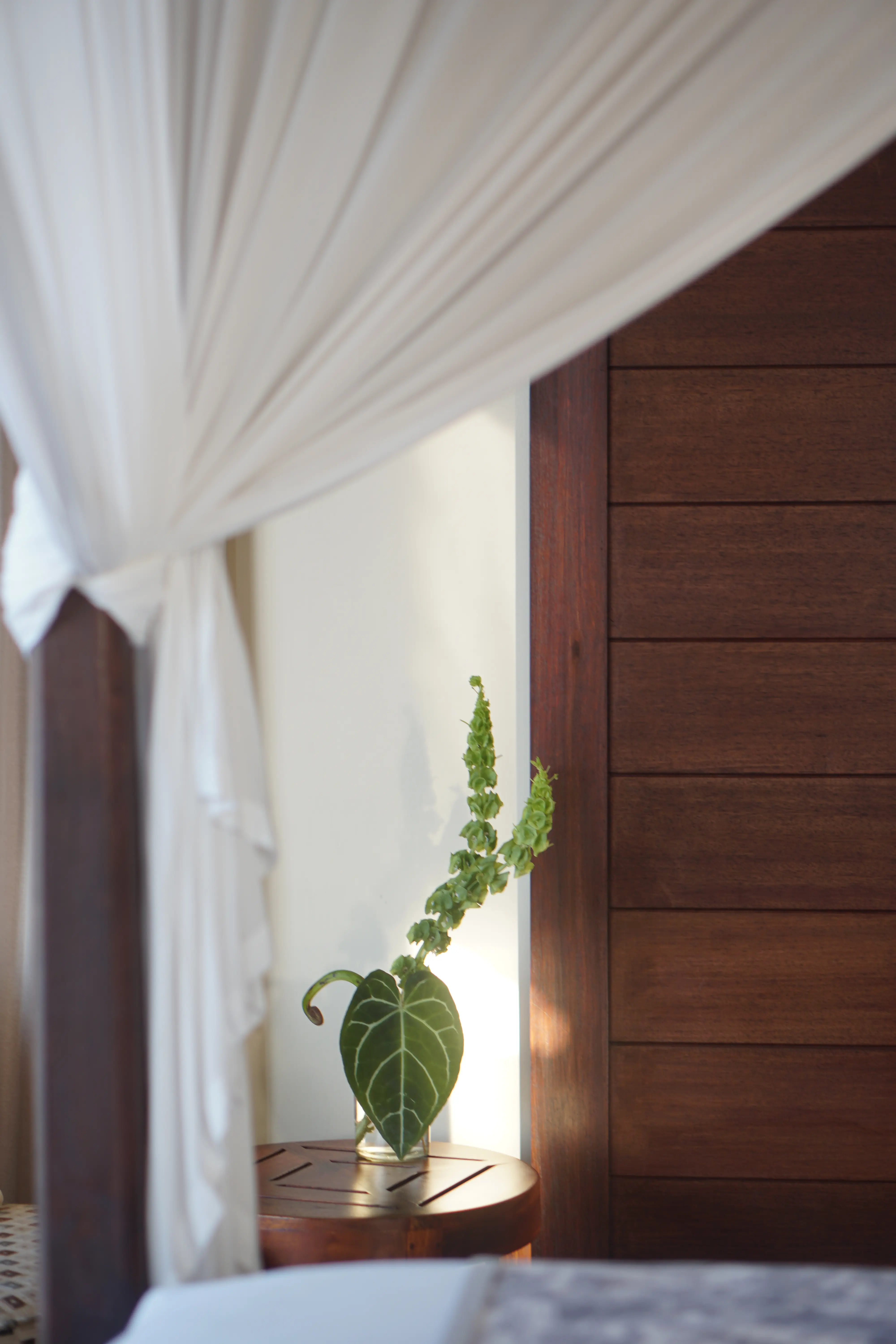 Villa Jamalu 19